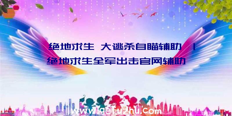 「绝地求生